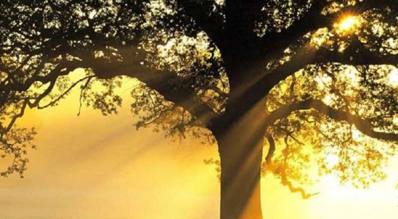 நாளை முதல் மழை குறையும் சாத்தியம்