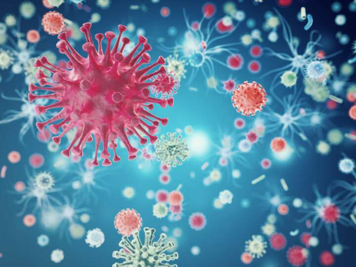 குளிர் காலநிலையுடன் வைரஸ் நோய்கள் பரவும் அபாயம்