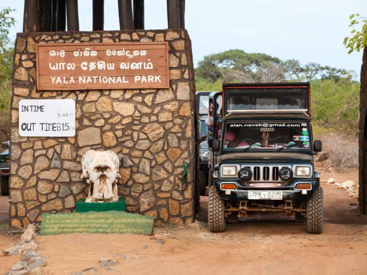 யால தேசிய பூங்காவில் புதிய டிஜிட்டல் டிக்கெட் முறை அறிமுகம்!