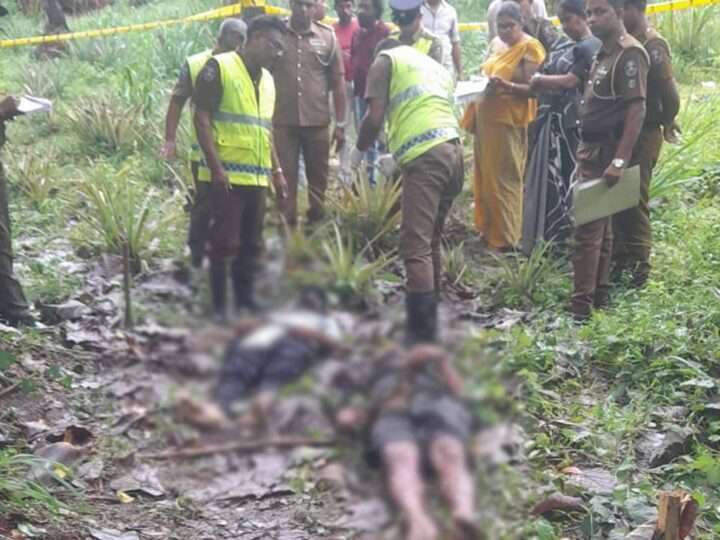 மின்சாரம் தாக்கி இருவர் பலி!