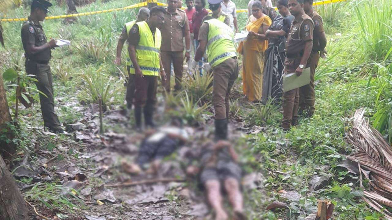 மின்சாரம் தாக்கி இருவர் பலி!