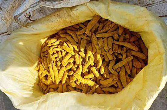 கற்பிட்டியில் 907 கிலோ கிராம் கடத்தப்பட்ட உலர்ந்த மஞ்சள் மீட்பு