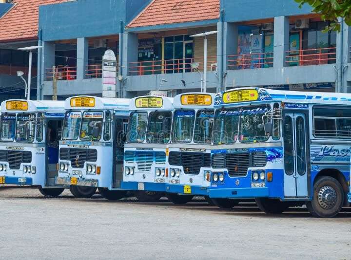 பண்டிகை காலத்தில் கண்டறியப்பட்ட சட்டவிரோத பேருந்து சேவை!