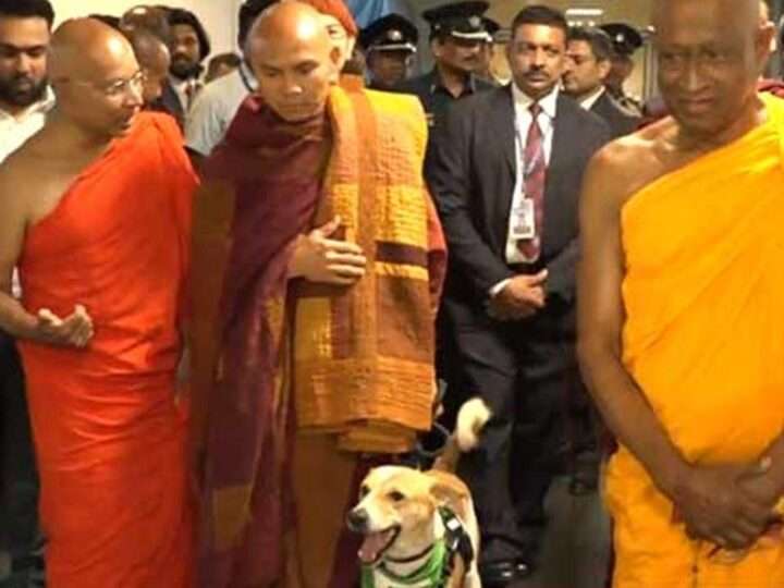 சர்வதேச சமாதான நடைபயணம்: பஞ்ஞாகர தேரர் உள்ளிட்டோர் இலங்கை வருகை