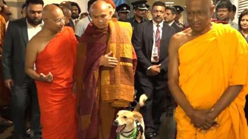 சர்வதேச சமாதான நடைபயணம்: பஞ்ஞாகர தேரர் உள்ளிட்டோர் இலங்கை வருகை