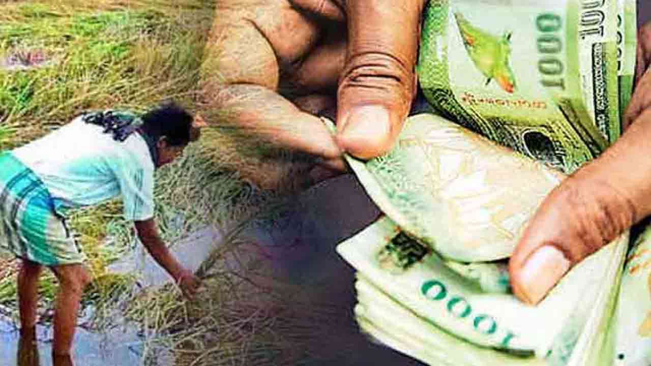 மாத்தறை விவசாயிகளுக்கு 1,200 மில்லியன் ரூபா இழப்பீடு!