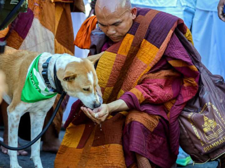 Walk for Peace கொழும்பில் நாளை விசேட போக்குவரத்து திட்டம்