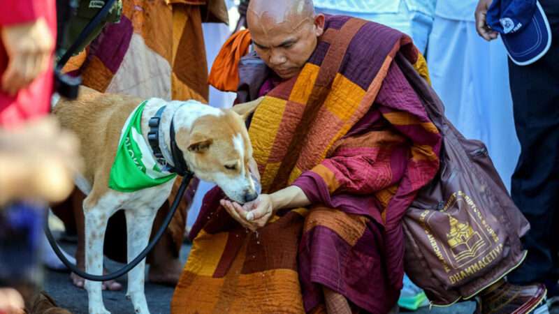 Walk for Peace கொழும்பில் நாளை விசேட போக்குவரத்து திட்டம்