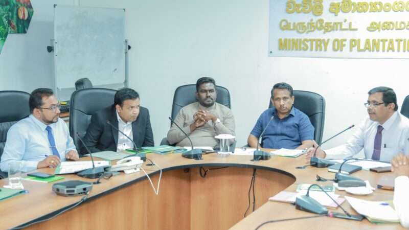 கஹவத்தை சம்பவம் தொடர்பில் அமைச்சரின் அதிரடி நடவடிக்கை