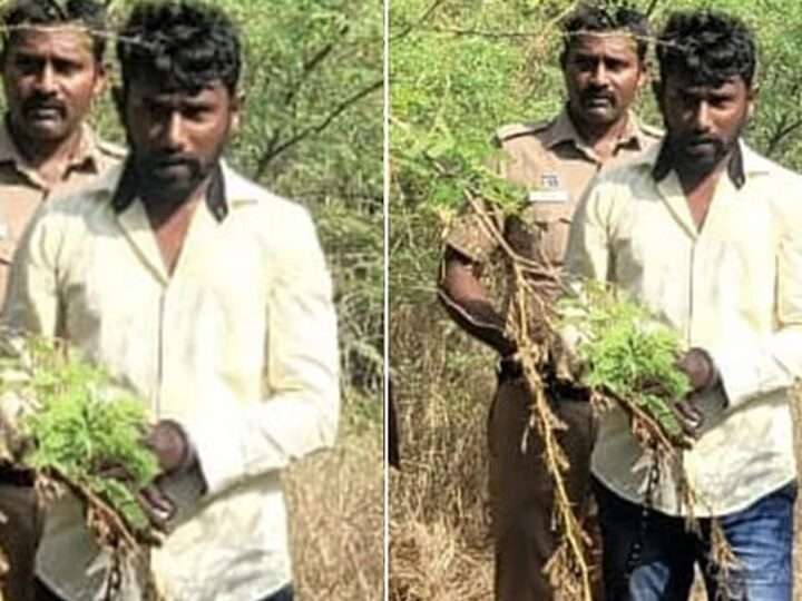 மாணவி பாலியல் படுகொலை வழக்கில் குற்றவாளிக்கு தூக்கு தண்டனை!