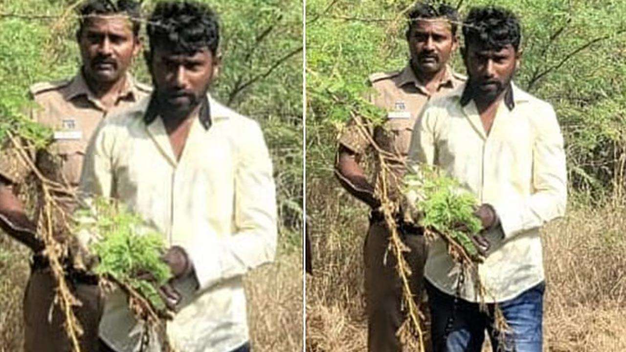 மாணவி பாலியல் படுகொலை வழக்கில் குற்றவாளிக்கு தூக்கு தண்டனை!