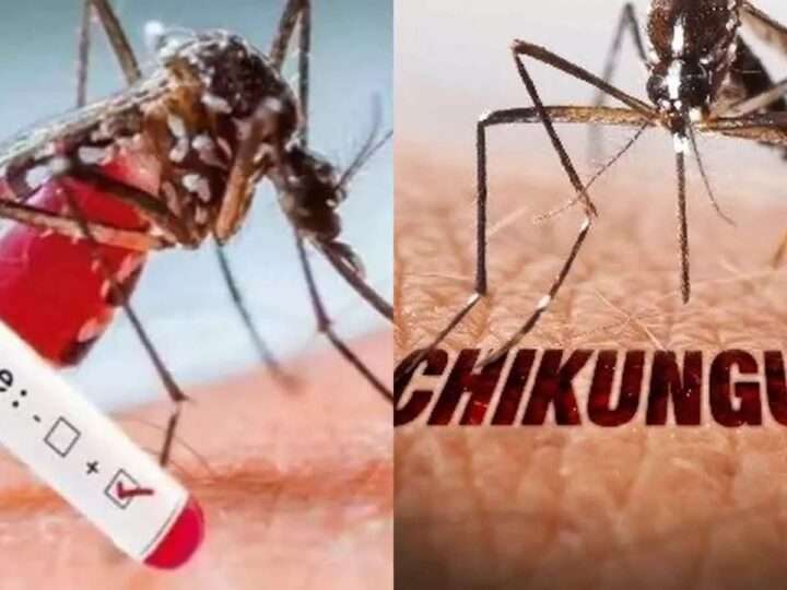 டெங்கு, சிக்குன்குனியா தொற்றுகள் வேகமாக அதிகரிப்பு