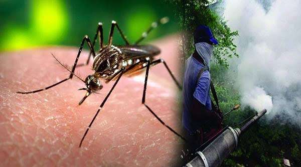 நடைமுறைக்கு வரும் டெங்கு ஒழிப்பு விசேட வேலைத்திட்டம்