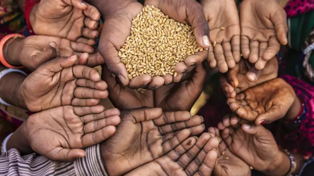 இலங்கையில் உணவுப் பாதுகாப்பற்ற மக்களின் எண்ணிக்கை மேலும் அதிகரிப்பு