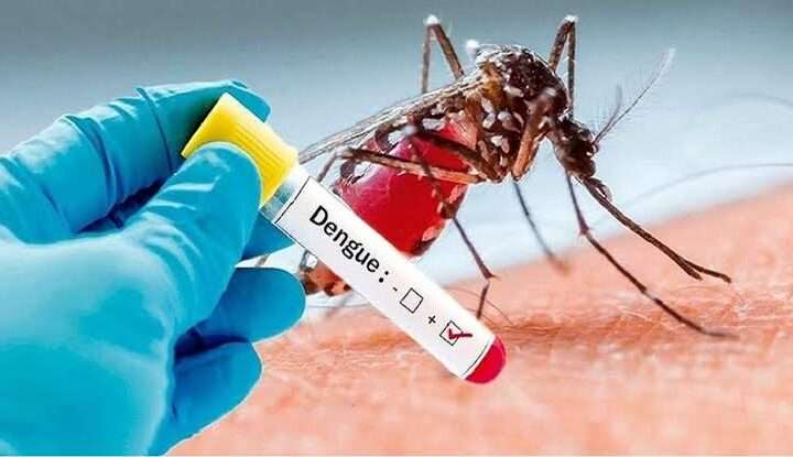டெங்கு நோயாளர்களின் எண்ணிக்கை 38,000ஐ தாண்டியது