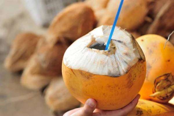 இளநீர் செய்கையை முறைப்படுத்த திட்டம்