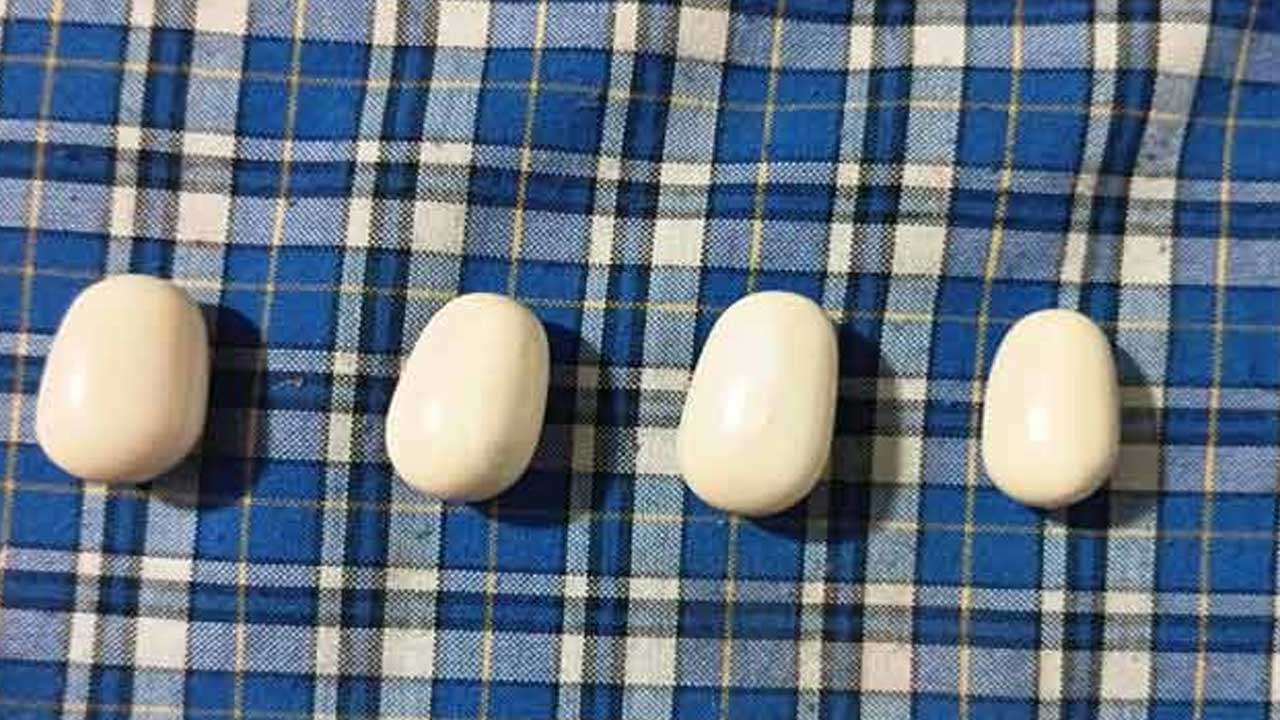 கஜமுத்துக்களுடன் மூவர் கைது!