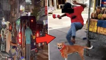 நாயை உதைத்துத் துன்புறுத்திய சந்தேக நபர் கைது!
