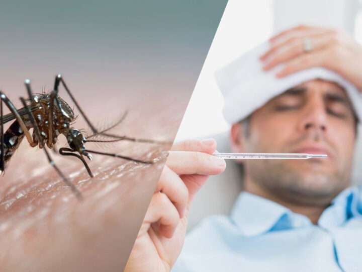 62 ஆயிரத்தை தாண்டிய டெங்கு நோயாளர்கள்!