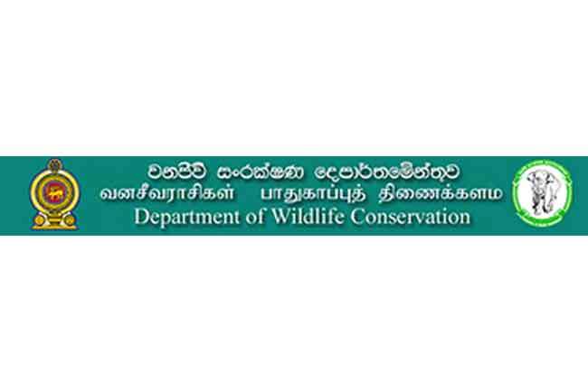 வனஜீவராசிகள் திணைக்கள அதிகாரிகள் சுகயீன விடுமுறை போராட்டத்தில்