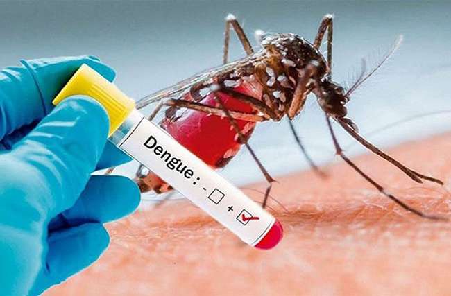 டெங்கு நோயாளர்களின் எண்ணிக்கை 70,000-ஐ நெருங்கியது