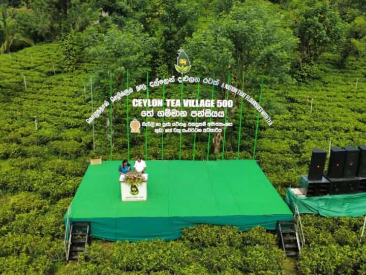 500 தேயிலைக் கிராமங்களை ஸ்தாபிக்கும் தேசிய நிகழ்ச்சி திட்டம் இன்று ஆரம்பம்
