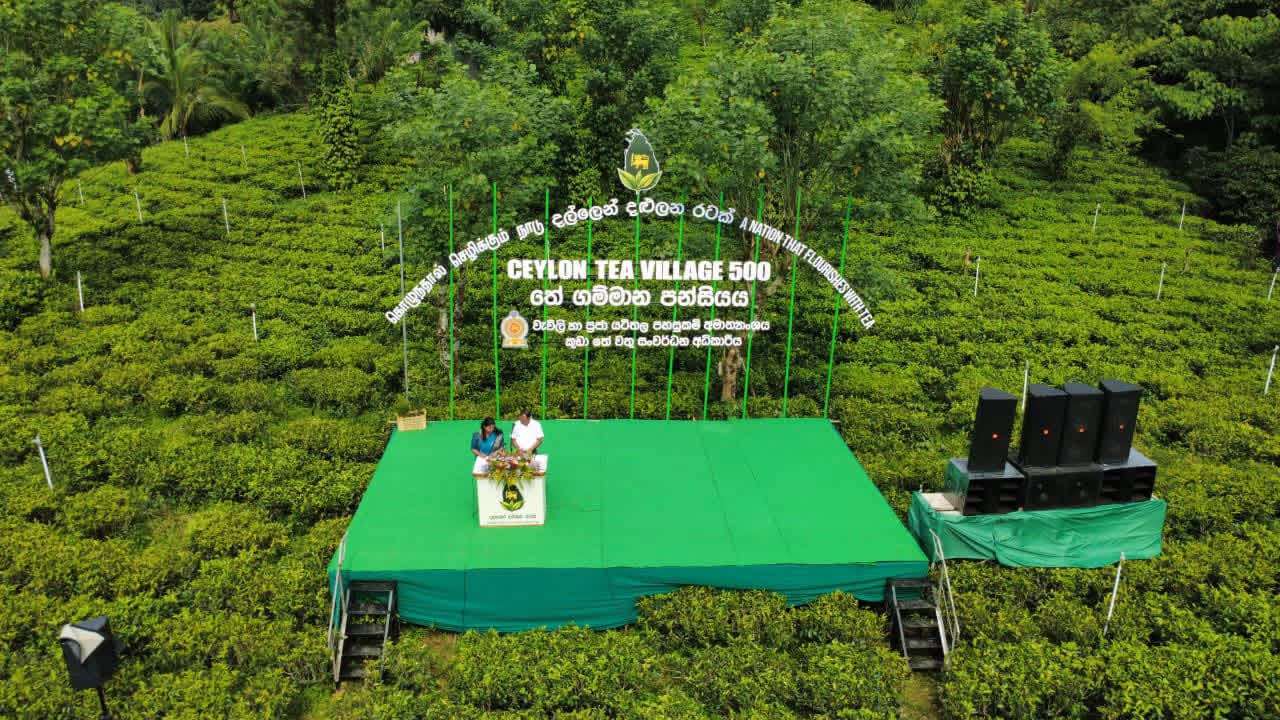 500 தேயிலைக் கிராமங்களை ஸ்தாபிக்கும் தேசிய நிகழ்ச்சி திட்டம் இன்று ஆரம்பம்