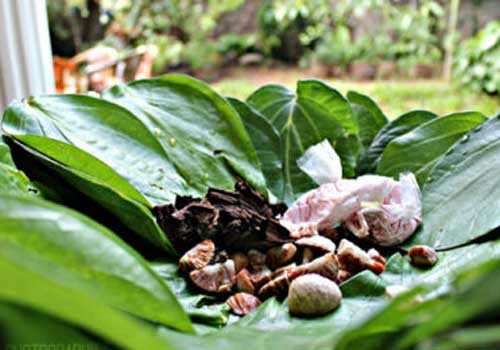 வெற்றிலையுடன் புகையிலை விற்போருக்கு எதிராக சட்டம் கடுமையாகிறது
