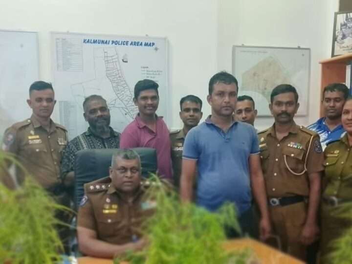 மொட்டை மாடியில் கஞ்சா செடியை வளர்த்தவர் கைது!