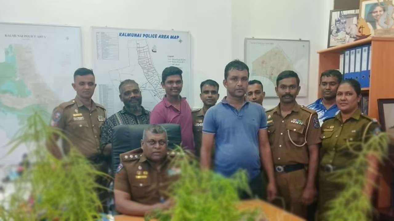 மொட்டை மாடியில் கஞ்சா செடியை வளர்த்தவர் கைது!