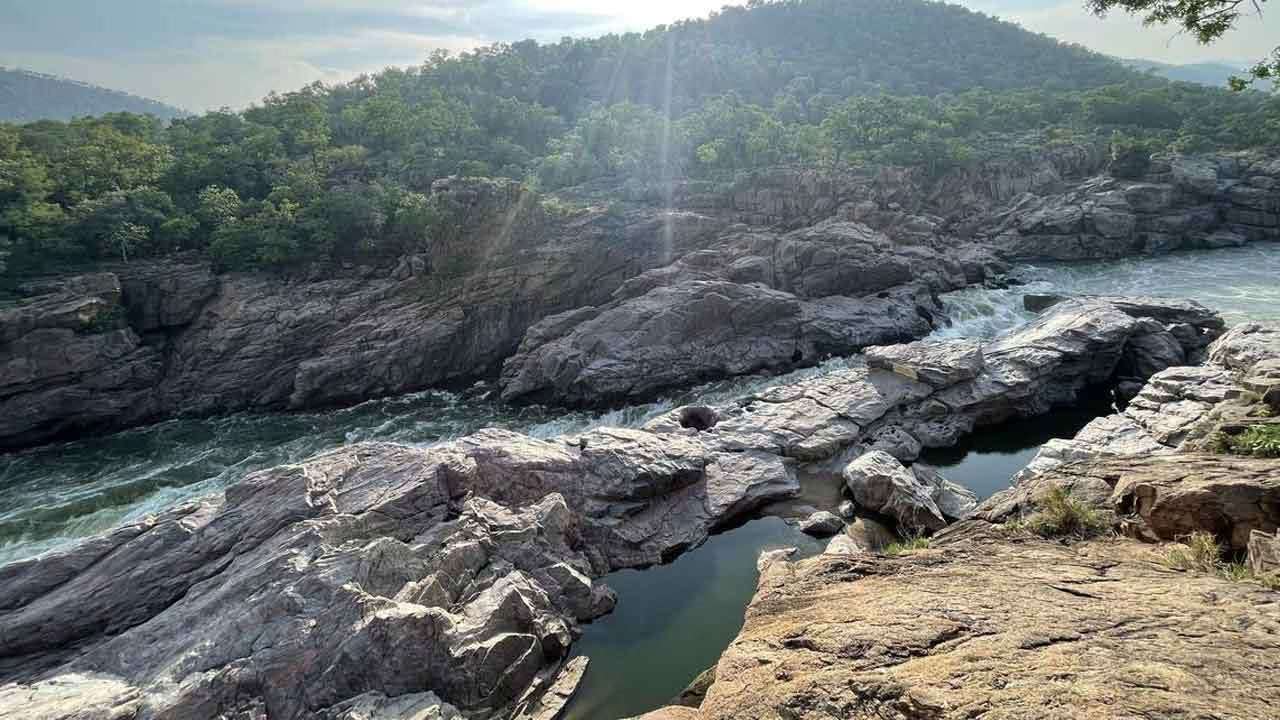மேகதாது அணையை கட்ட 8.90 இலட்சம் மரங்கள் வெட்டப்படும் அபாயம்!