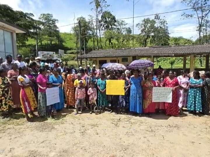 கொட்டகலை லொக்கில் தோட்டத்தில் புதிய மர ஆலை அமைப்பதற்கு எதிராக தோட்டத் தொழிலாளர்கள் போராட்டம்!