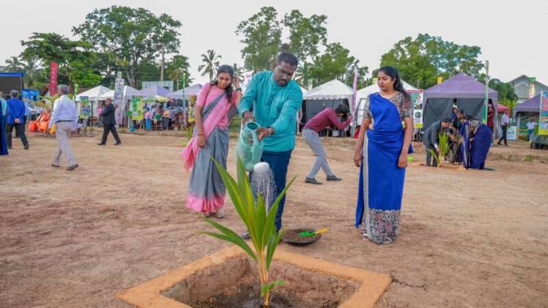 “இளநீரால் ஆரோக்கியத்துடன் பொருளாதாரமும் வளரும்” பிரதி அமைச்சர் பிரதீப் தெரிவிப்பு!