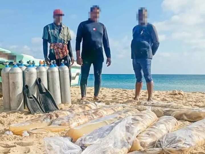 யாழில் சட்டவிரோதமாக கடலட்டைகளை கடத்திய மூவர் கைது!