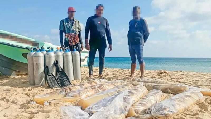 யாழில் சட்டவிரோதமாக கடலட்டைகளை கடத்திய மூவர் கைது!