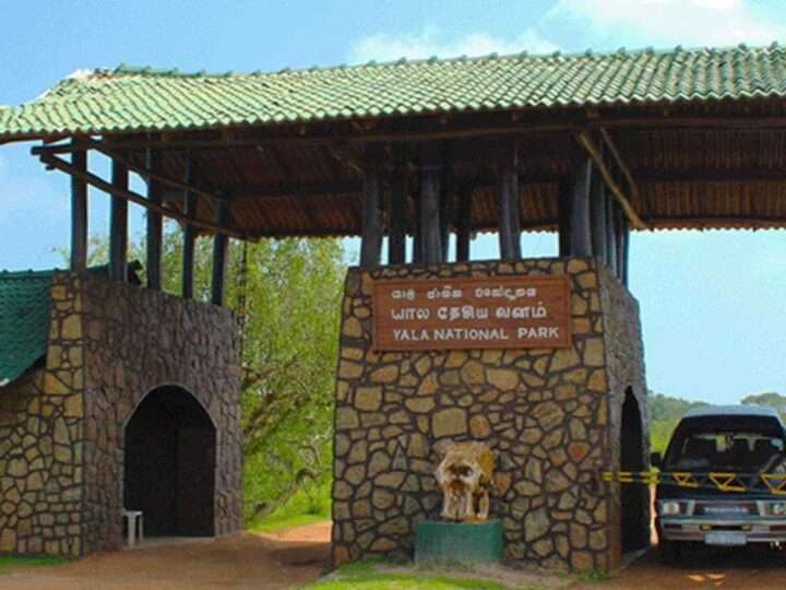 இன்று முதல் மூடப்படும் யால தேசிய வனத்தின் 2 வலயங்கள்