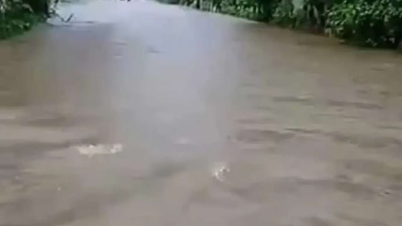ஆறுகளின் நீர் மட்டம் குறித்து நீர்ப்பாசன திணைக்களம் அறிக்கை