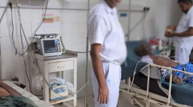 வட்டவளையில் குளவி கொட்டுக்கு இலக்கான ஐவர் வைத்தியசாலையில்