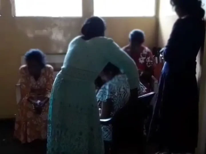 லிந்துலையில் குளவி கொட்டுக்கு இலக்காகிய தோட்டத் தொழிலாளர்கள்