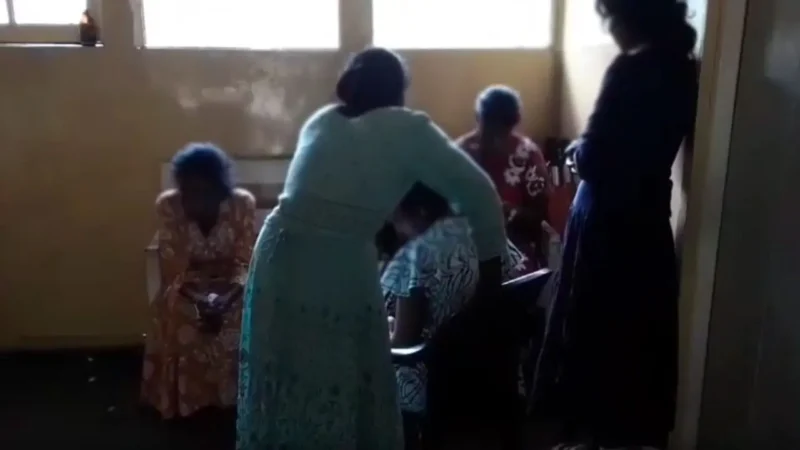 லிந்துலையில் குளவி கொட்டுக்கு இலக்காகிய தோட்டத் தொழிலாளர்கள்
