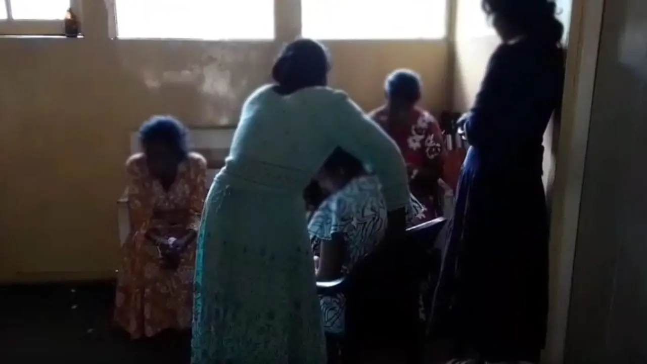 லிந்துலையில் குளவி கொட்டுக்கு இலக்காகிய தோட்டத் தொழிலாளர்கள்