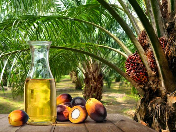 ஃபாம் எண்ணெய்யை இறக்குமதி தடைகளை நீக்க அதிகாரிகள் சூழ்ச்சி?